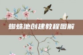 蜘蛛池创建教程图解