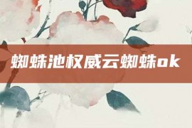 蜘蛛池权威云蜘蛛ok