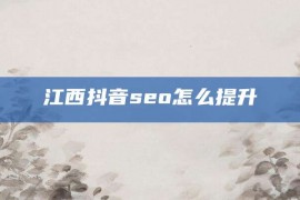 江西抖音seo怎么提升