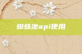 蜘蛛池api使用