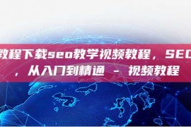 seo教程下载seo教学视频教程，SEO教程，从入门到精通 - 视频教程