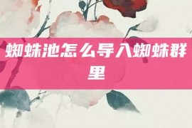 蜘蛛池怎么导入蜘蛛群里