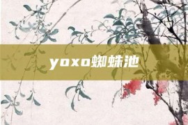 yoxo蜘蛛池