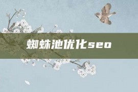 蜘蛛池优化seo