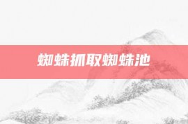 蜘蛛抓取蜘蛛池