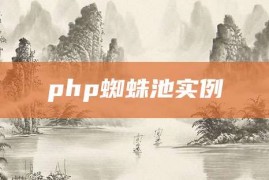 php蜘蛛池实例