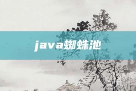 java蜘蛛池