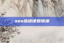 seo培训课蜘蛛池