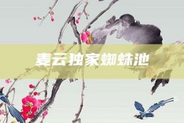 麦云独家蜘蛛池