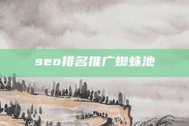 seo排名推广蜘蛛池