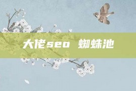 大佬seo 蜘蛛池