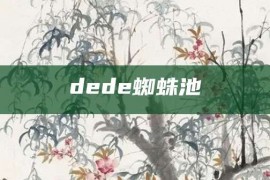 dede蜘蛛池