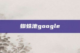 蜘蛛池google