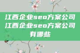 江西企业seo方案公司江西企业seo方案公司有哪些