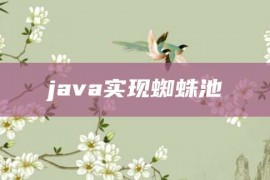 java实现蜘蛛池