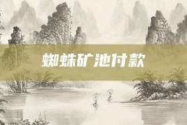 蜘蛛矿池付款