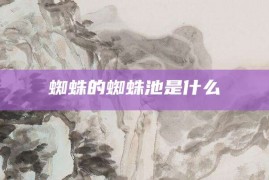 蜘蛛的蜘蛛池是什么