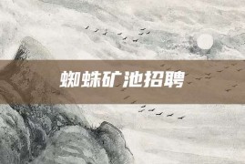 蜘蛛矿池招聘