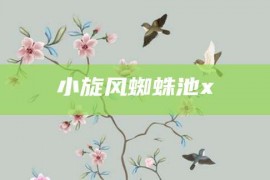 小旋风蜘蛛池x