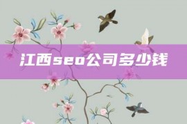 江西seo公司多少钱