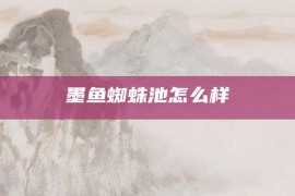 墨鱼蜘蛛池怎么样