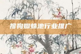 搜狗蜘蛛池行业推广