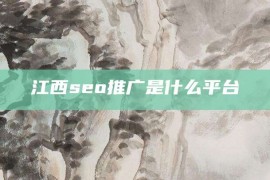 江西seo推广是什么平台