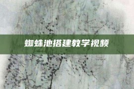 蜘蛛池搭建教学视频