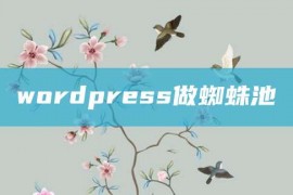 wordpress做蜘蛛池