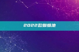 2022款蜘蛛池