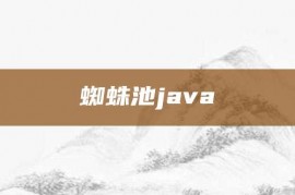 蜘蛛池java