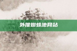 外推蜘蛛池网站