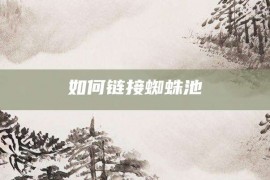 如何链接蜘蛛池