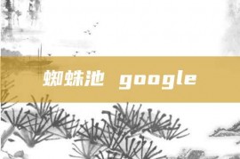 蜘蛛池 google