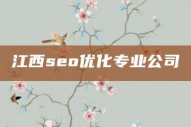 江西seo优化专业公司