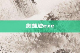 蜘蛛池exe