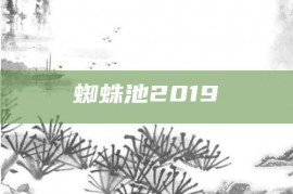 蜘蛛池2019