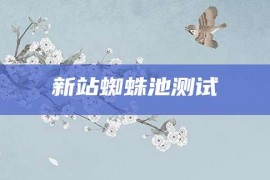 新站蜘蛛池测试