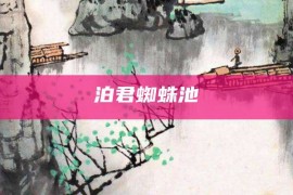 泊君蜘蛛池