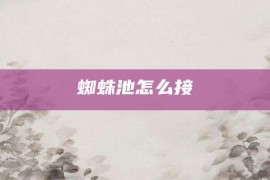 蜘蛛池怎么接