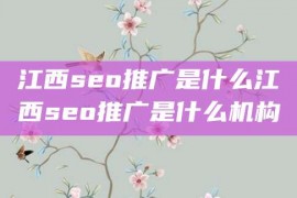 江西seo推广是什么江西seo推广是什么机构