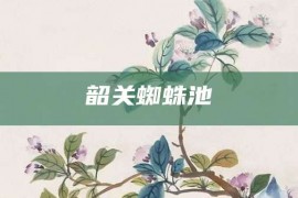 韶关蜘蛛池