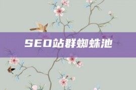 SEO站群蜘蛛池