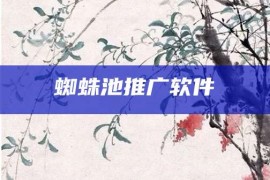 蜘蛛池推广软件