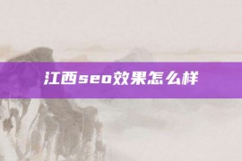 江西seo效果怎么样