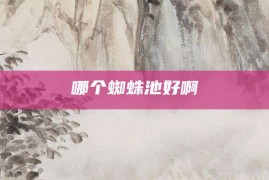 哪个蜘蛛池好啊