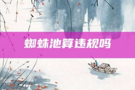 蜘蛛池算违规吗