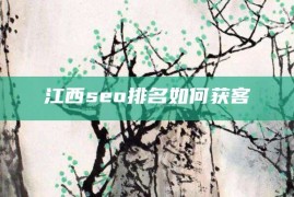 江西seo排名如何获客