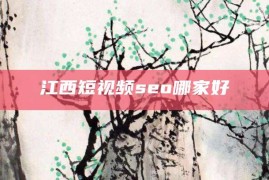 江西短视频seo哪家好