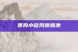 搜狗小旋风蜘蛛池